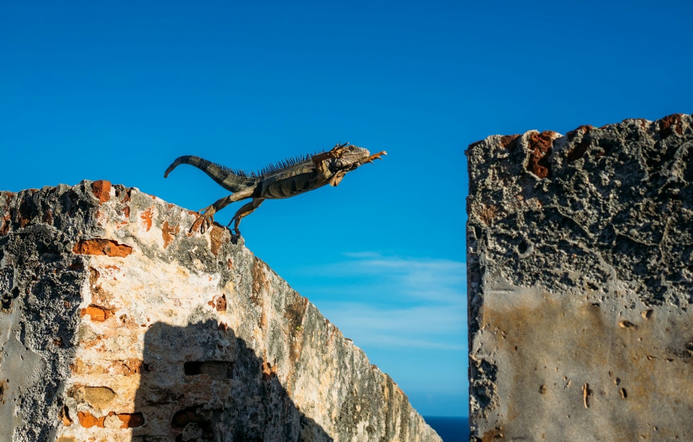 Making AI useful at scale