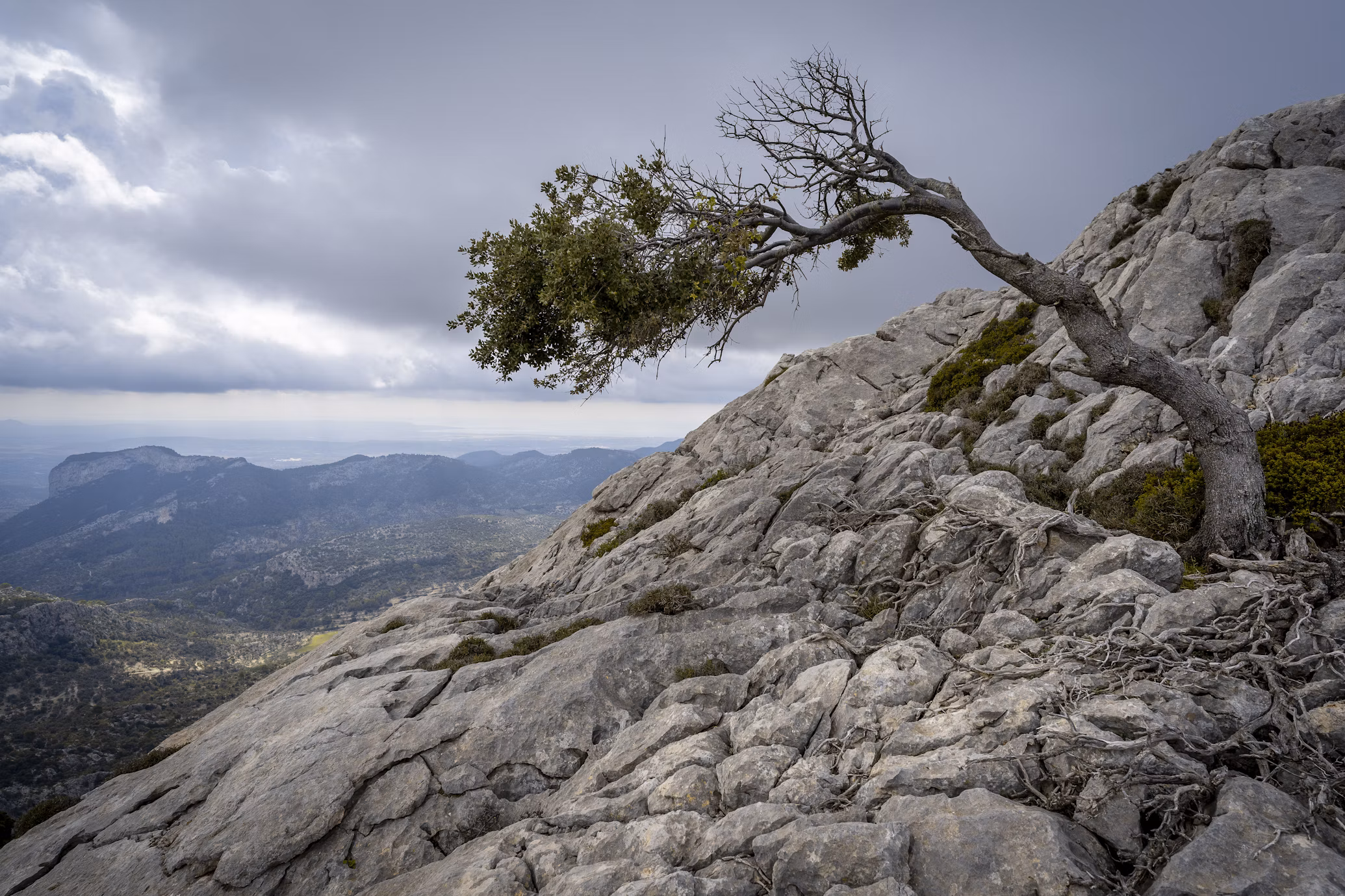 Assume the breach: Why I lead for resilience, not just protection